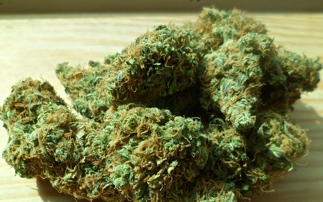 Marijuana  on table