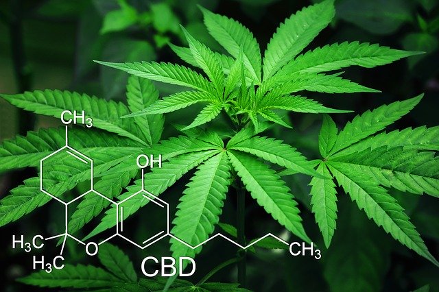 A close up of marijuana leaves and the symbol for the chemical composition of THC and CBD